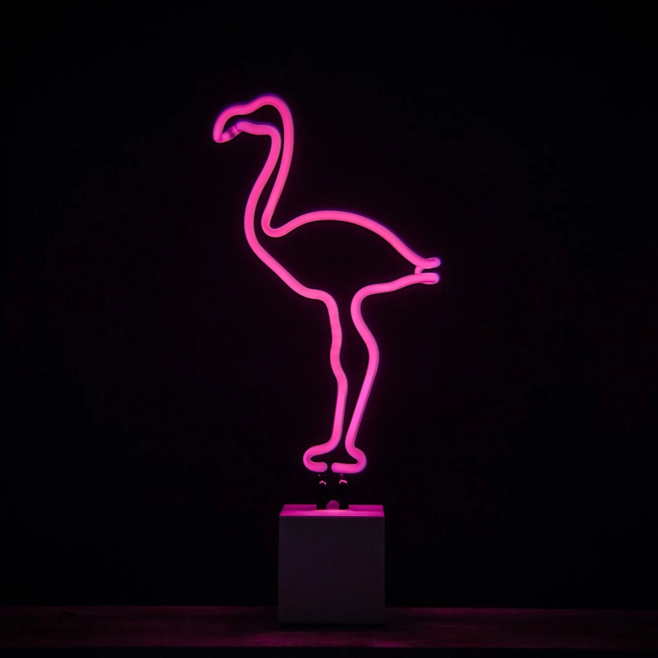 Neon Flamingo