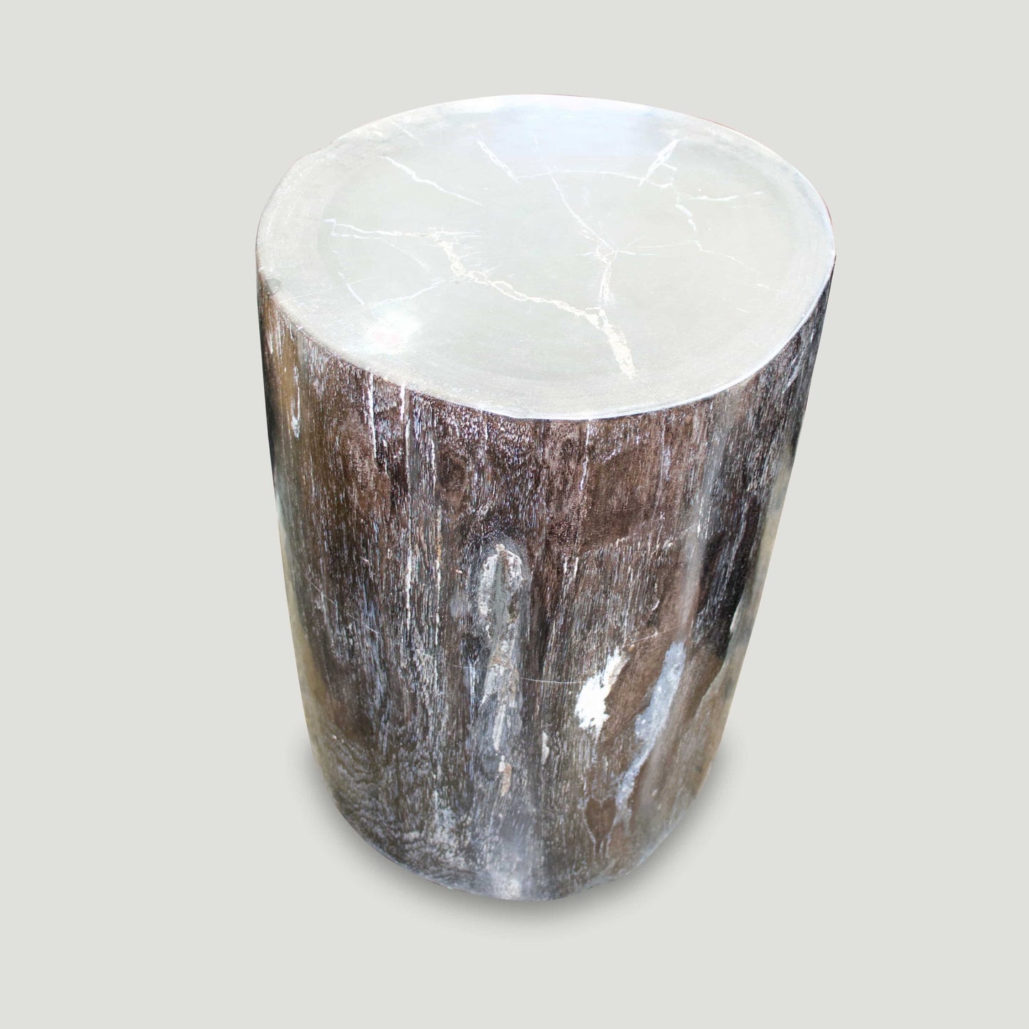 Petrified Wood Table