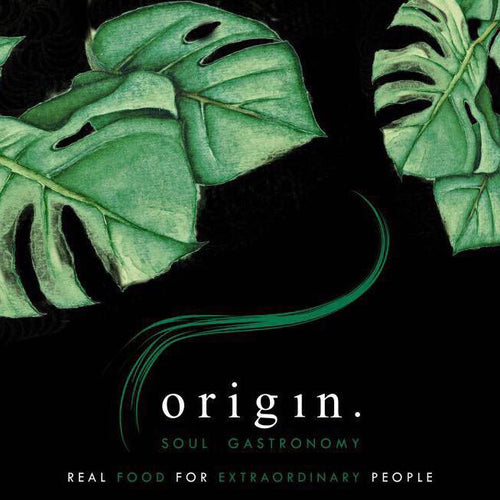 Origin Valencia [5a2a8bcf838e593f97aad8a2/39.468725/-0.375888]