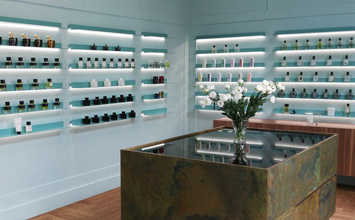 GaliLu olfactory (Gdansk) [58baa62846563a69c69d79c0/54.35169/18.651235]