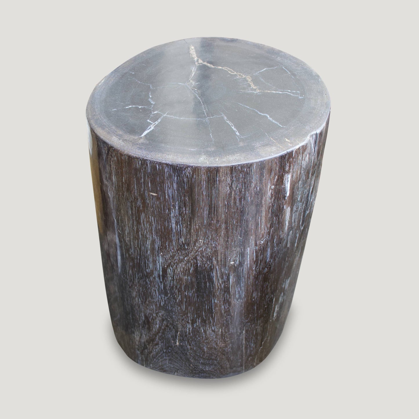 Petrified Wood Table