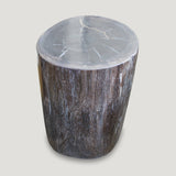 Petrified Wood Table