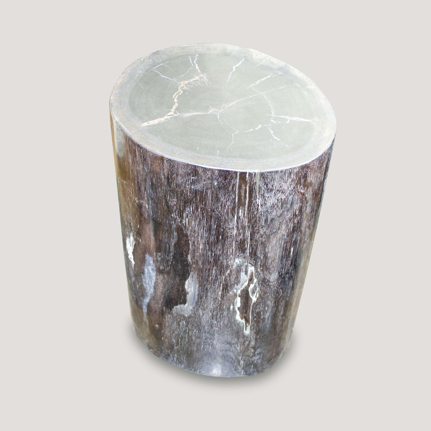 Petrified Wood Table