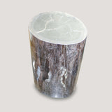 Petrified Wood Table
