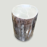 Petrified Wood Table