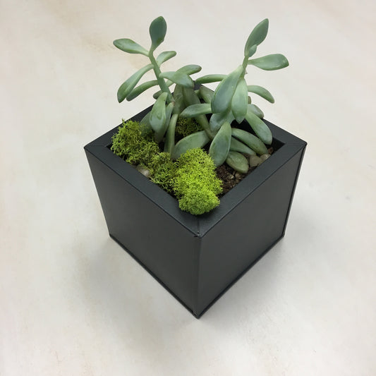 Small planter