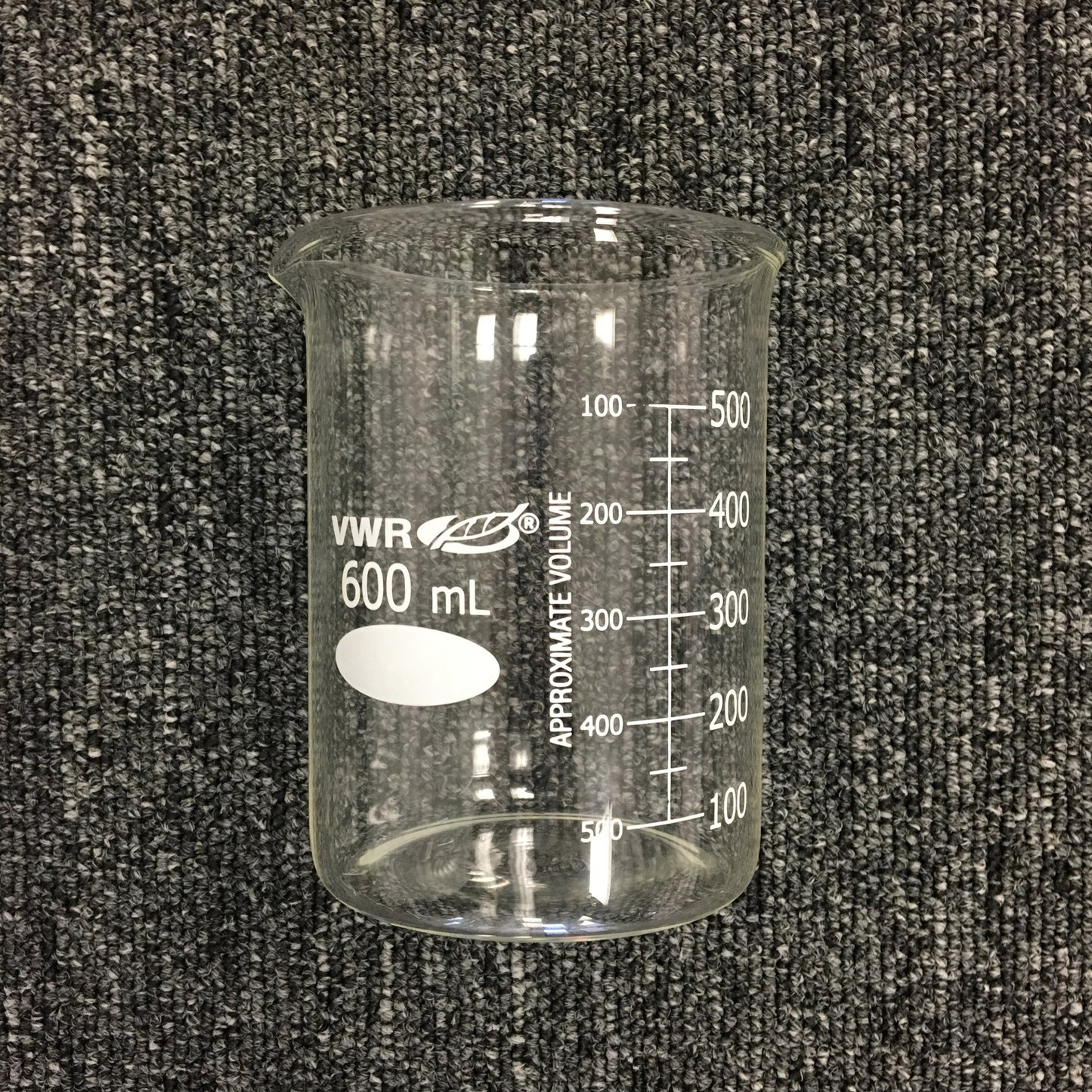 Medium Beaker