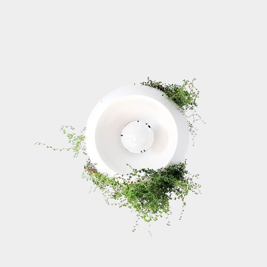Nickel Planter Light