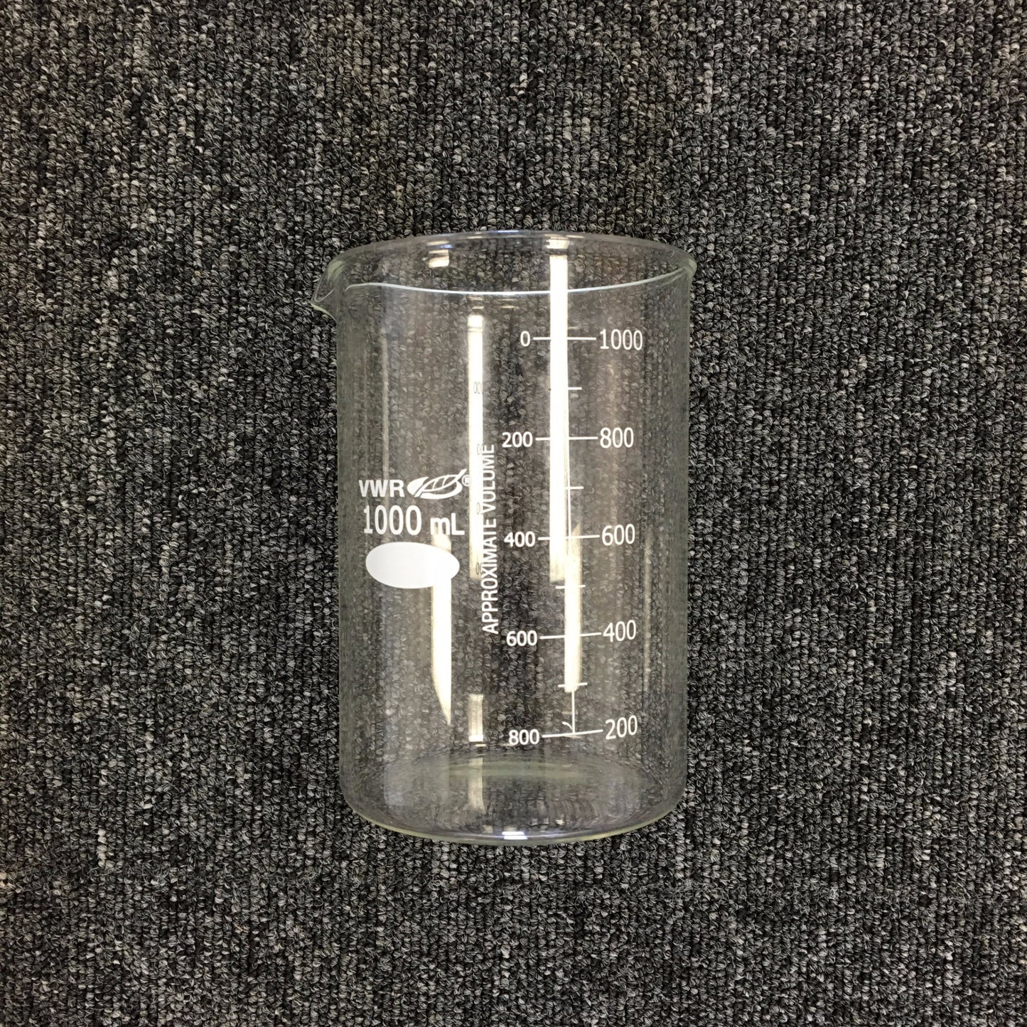 Large Beaker