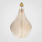 VII Bulb