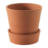 Plant Pot