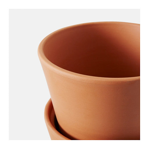 Plant Pot