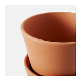 Plant Pot