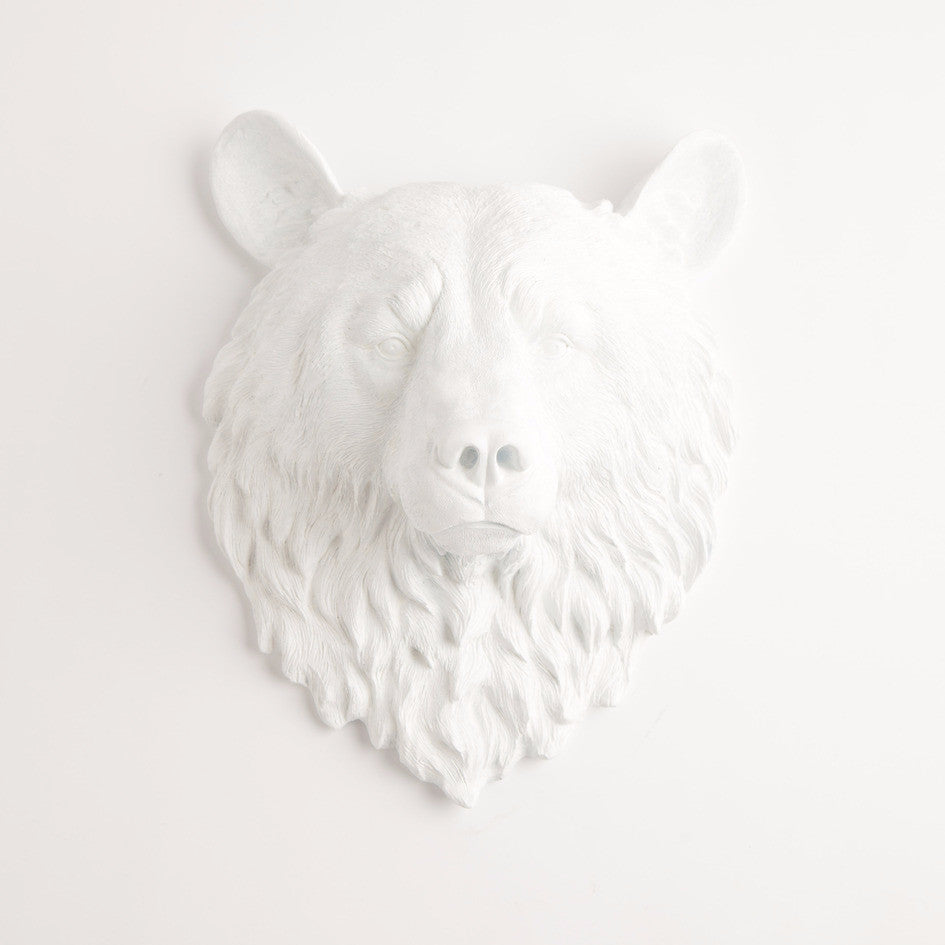 Bear head