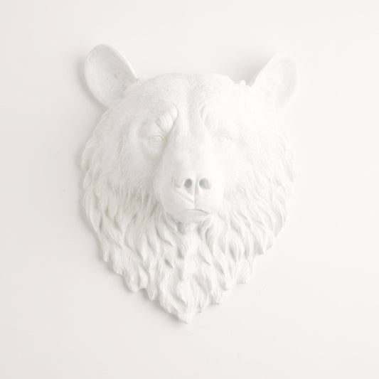 Bear head